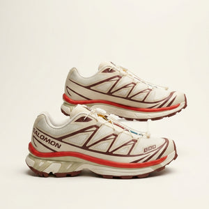 Salomon XT-6