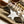 Golden Goose True-Star piel laminada