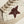 Golden Goose Super-Star