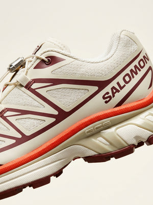 Salomon XT-6